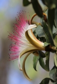 IIP Online Student Photography
